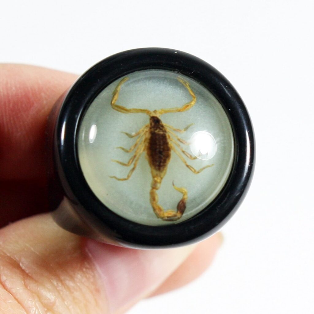 REALBUG Golden Scorpion Black Ring Size 7