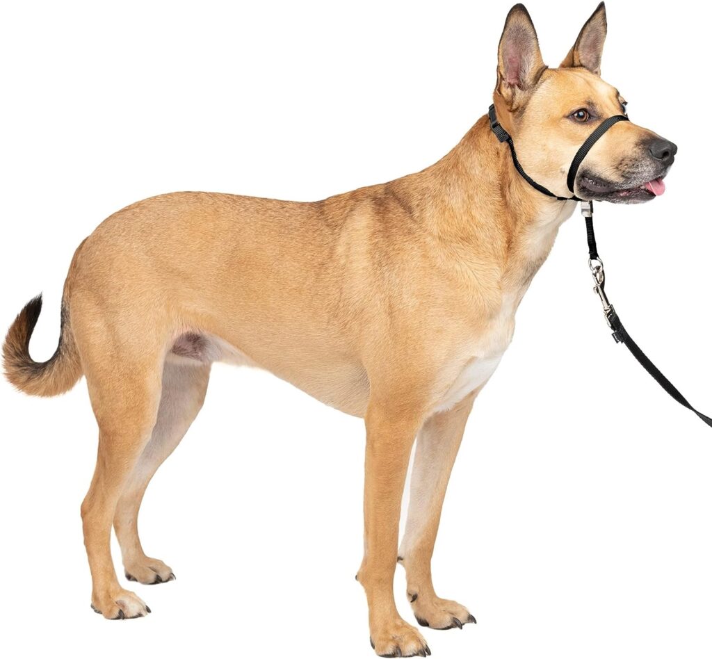 PetSafe Gentle Leader No-Pull Dog Headcollar - The Ultimate Solution to Pulling - Redirects Your Dogs Pulling For Easier Walks - Helps You Regain Control - Medium , Black