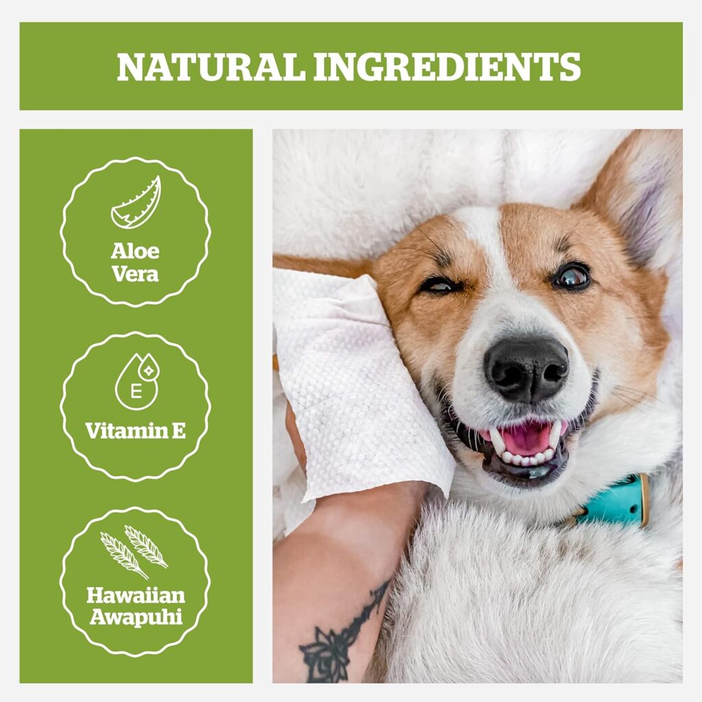 Pogis Dog Grooming Wipes - 100 Dog Wipes for Cleaning and Deodorizing - Plant-Based, Hypoallergenic Pet Wipes for Dogs, Puppy Wipes - Quick Bath Dog Wipes for Paws, Butt,  Body - Fragrance Free