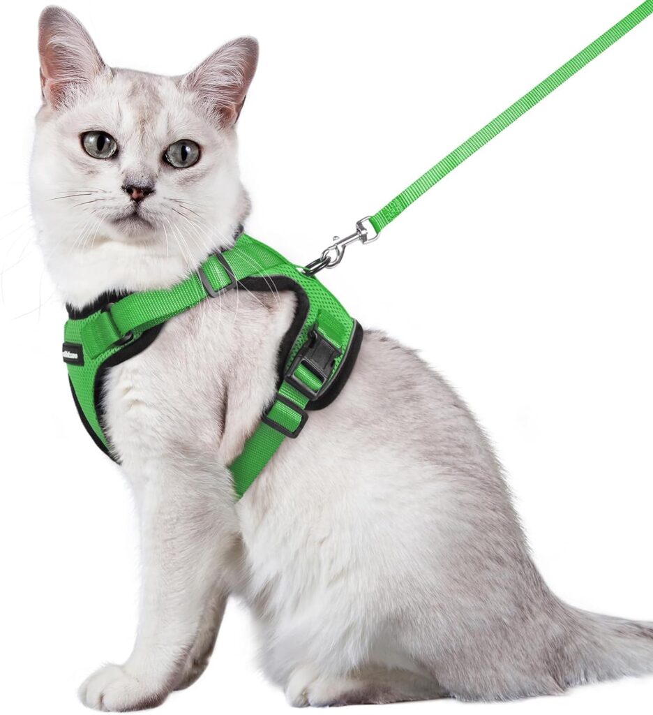 rabbitgoo Cat Harness and Leash for Walking, Escape Proof Soft Adjustable Vest Harnesses for Cats, Easy Control Breathable Reflective Strips Jacket, Emerald, XS