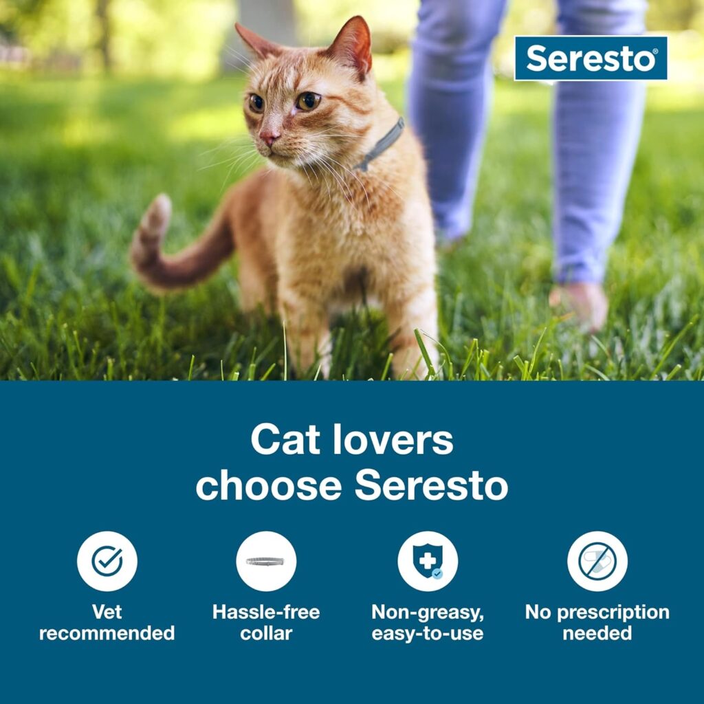 Seresto Cat Vet-Recommended Flea  Tick Treatment  Prevention Collar for Cats | 8 Months Protection