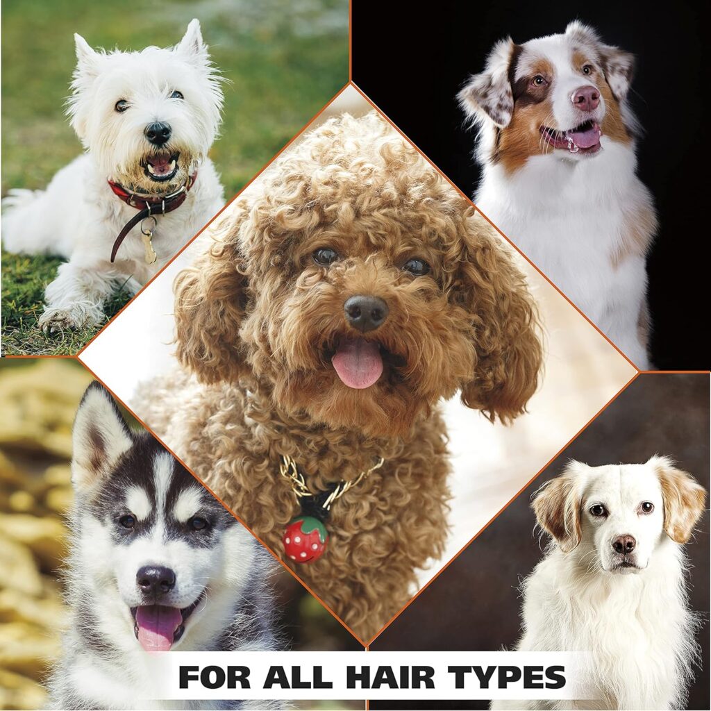 Wahl USA Dry Skin  Itch Relief Pet Shampoo for Dogs – Oatmeal Formula with Coconut Lime Verbena  Pet Friendly Formula, 24 Oz - Model 820004A